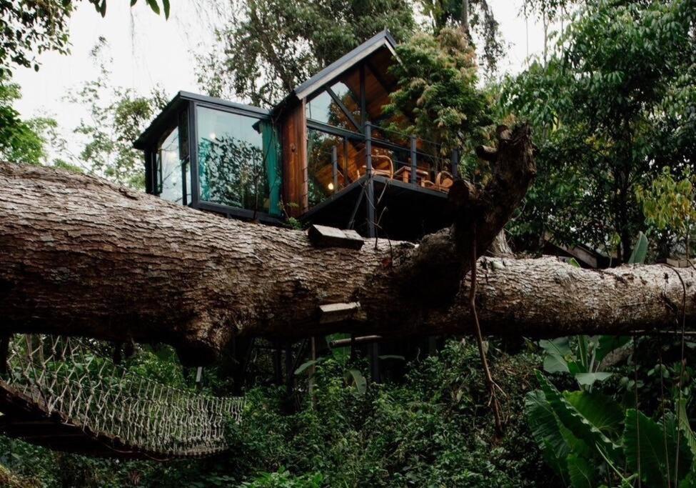 Wilderness Treehouse Villa Doi Saket Exterior photo