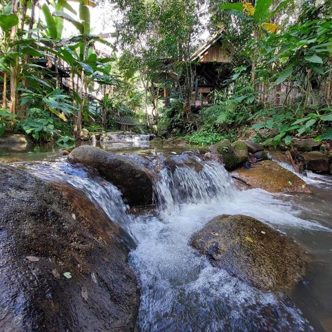 Wilderness Treehouse Villa Doi Saket Exterior photo