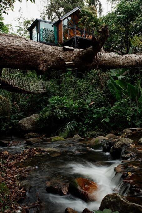 Wilderness Treehouse Villa Doi Saket Exterior photo